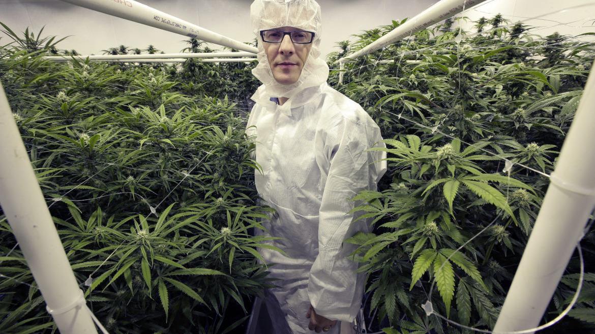 Reports: Medical marijuana to be on 2020 ballot